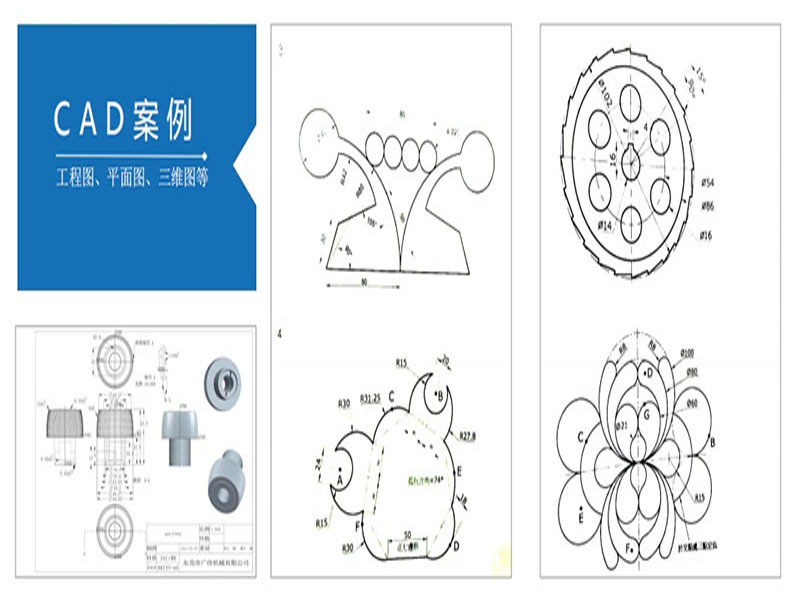 东莞万江天骄CAD案例