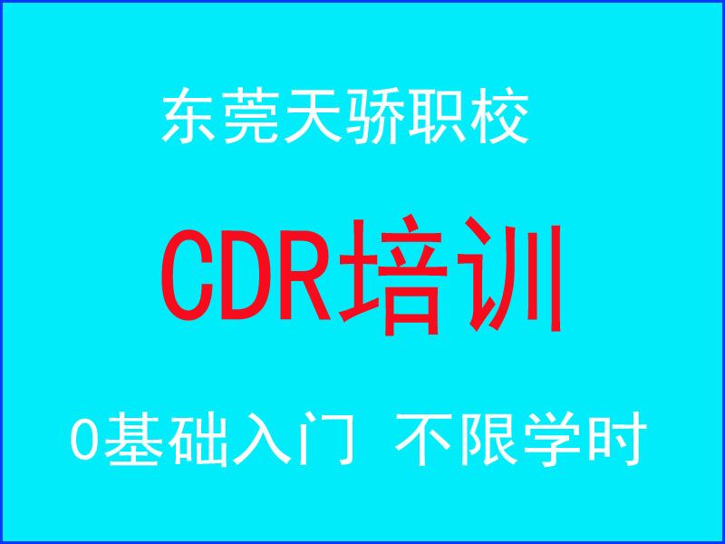 东莞万江天骄职校CDR培训